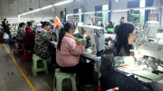 湖南新宁：复工跑出“加速度”  实干冲刺“开门红” 