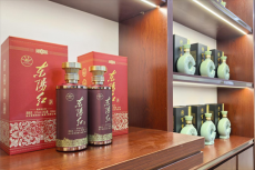 珠晖区：“东阳红”品牌策马扬鞭” “三新”经济加速发展