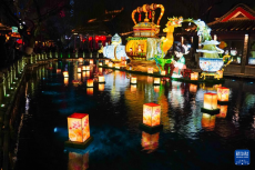 山东济南：泉水映彩灯 璀璨迎元宵