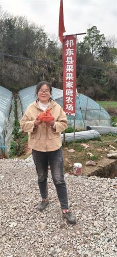 十三年归乡守田园 数字助农促增收