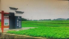 成都彭州敖平镇：一个山丘坝之间的产业重镇与锦绣之乡