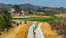 安徽庐江：夯实水利基础 扮靓和美乡村