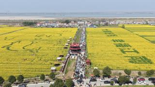 湖南临湘市江南镇第七届油菜花节启幕