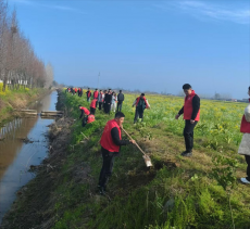 湖南华容县鲇鱼须镇开展春季义务植树活动