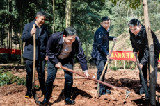 以树为媒！湖南平江县干群和春天定下生态之约