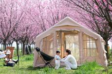 西安鄠邑：春日赏梅正当时