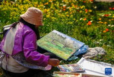 春城繁花引客来