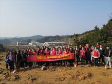3·12植树节 | 平江县浯口镇干部在兰桥村种下了春天