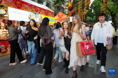 来广府美食庙会体验“食在广州”