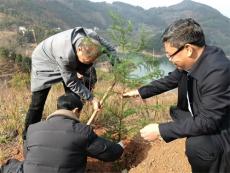 毕节市县镇村四级老科协前往大田两村开展植树科普活动