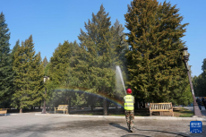 北京：多项措施应对“花粉季”