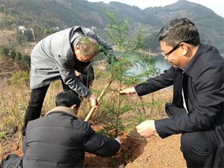 毕节市县镇村四级老科协前往大田两村开展植树科普活动