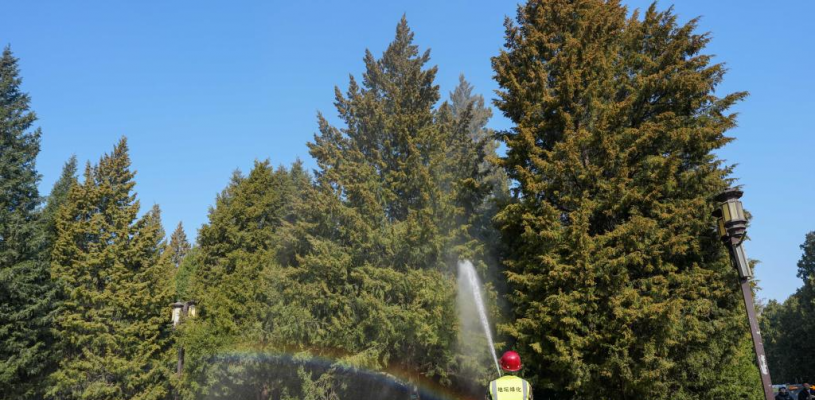 北京：多项措施应对“花粉季”