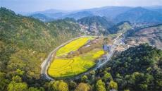 贵州台江：抓实春耕生产 绘就现代农业新图景