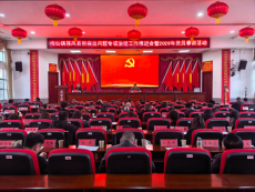 平江县梅仙镇举行移风易俗突出问题专项治理工作推进会