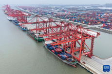 江苏太仓港：通江达海运输忙