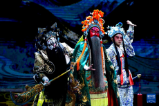 中国戏曲稀有剧种优秀剧目在山东博兴精彩展演