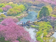 第六届湖南旅游发展大会丨踏青赏春 花色满莲城