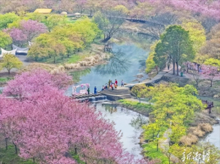 第六届湖南旅游发展大会丨踏青赏春 花色满莲城