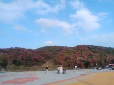 六大河报道丨贵州百里杜鹃迎来地球最美季节