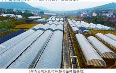 湖南军杰食品以匠心铸就龙头品牌 助力乡村振兴