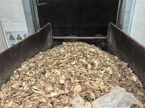 “笋头山”变“资源宝”！福建永安：巧解千吨废弃物难题