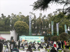 春启洞庭 茶耀君山——湖南岳阳君山黄茶开茶节盛大启幕