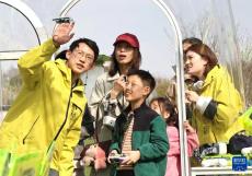 上海：春光里的无人机嘉年华