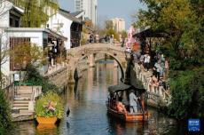 2026年上海市民文化节全城启动