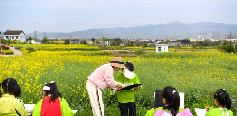 陕西汉中：金色花海里的农文旅融合新图景