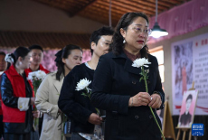 清明时节忆娇龙