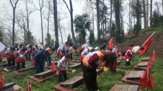 传统清明融于情，红色精神润于心