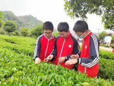 湖南桃源岩吾溪：打好“研学教育实践基地”牌