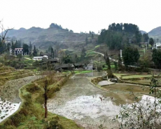 寻找红军烈士“曾宪裕”