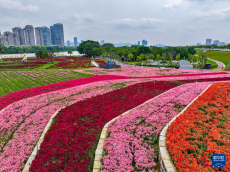 福建漳州：岸线焕新 城市更新