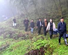 湖南省金石桥镇：党建引领聚合力 文旅融合促发展