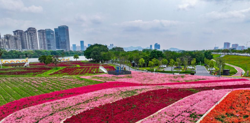 福建漳州：岸线焕新 城市更新
