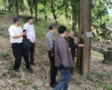 绥宁县黄土矿镇政协委员工作室开展改善生态环境民主活动