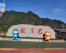 邓青松把“龙尾巴”干成乡村振兴“龙头”的故事