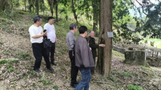 黄土矿镇政协委员组织开展改善生态环境民主监督活动