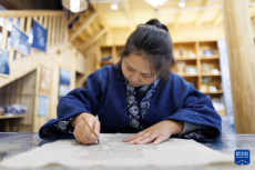 指尖靛染绽芳华 巧手绣出振兴路