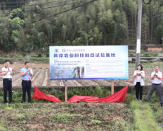 福建永安首个两岸农业科技融合试验基地落地