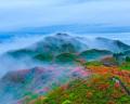 大围山第十八届杜鹃花季启幕 