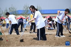 技能大赛 劳动少年
