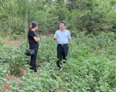 贵州万益康公司联合贵州中医药大学获批省级科技支撑项目