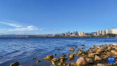 美丽中国丨邂逅洱海的夏日时光
