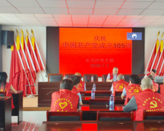 邵东市廉桥镇长龙村：“党建+”引领，创先争优树标杆
