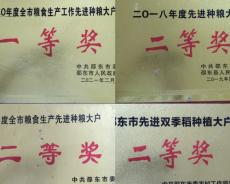 深耕田野十四载 父子接力守粮仓
