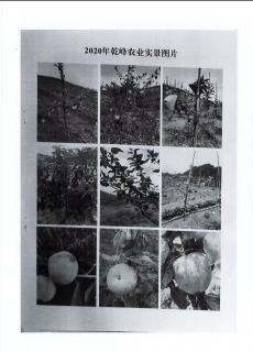 张家界慈利：30年租赁突起风波  承包者“乡村振兴”梦破灭