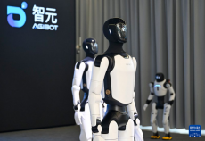 从数据采集到应用场景，在上海感受具身智能发展活力